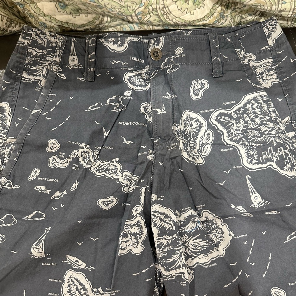 GAP Map Pattern Straight-Leg Shorts - - Picture 5 of 8